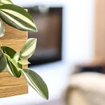 Golden Elio Apartman