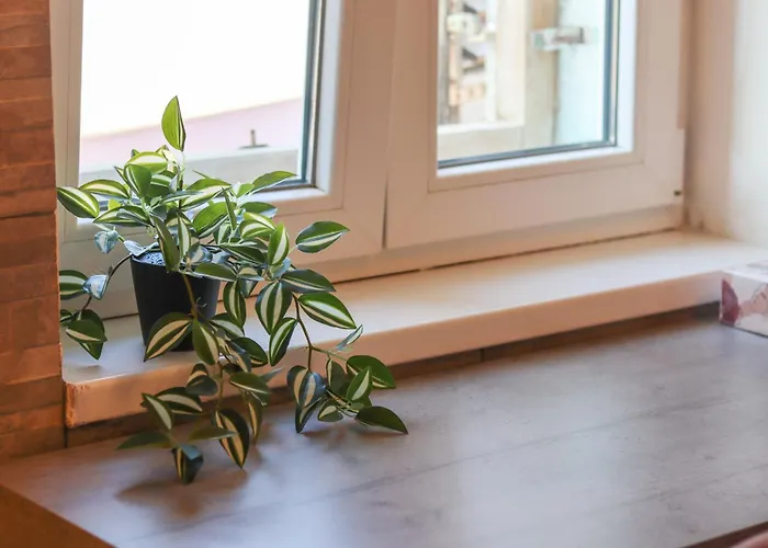 Golden Elio Apartment *