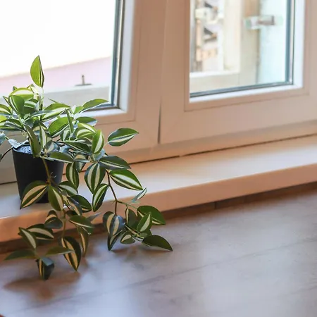 Golden Elio Apartment *