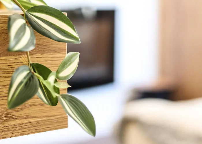 Golden Elio Апартаменты